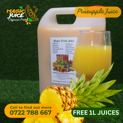 Pineapple Juice 5Litre